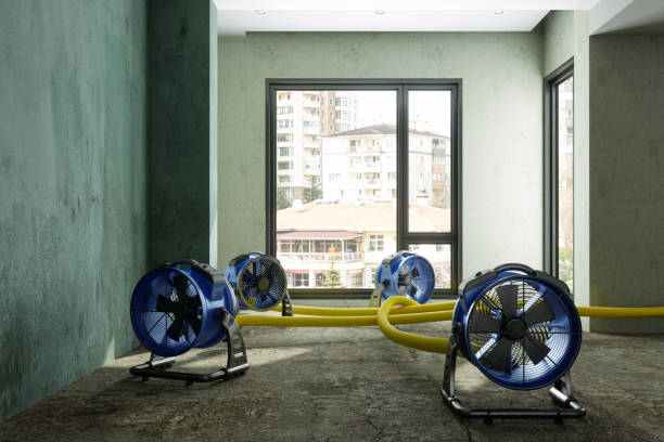 Best Water damage restoration near me  in Bethany, OK